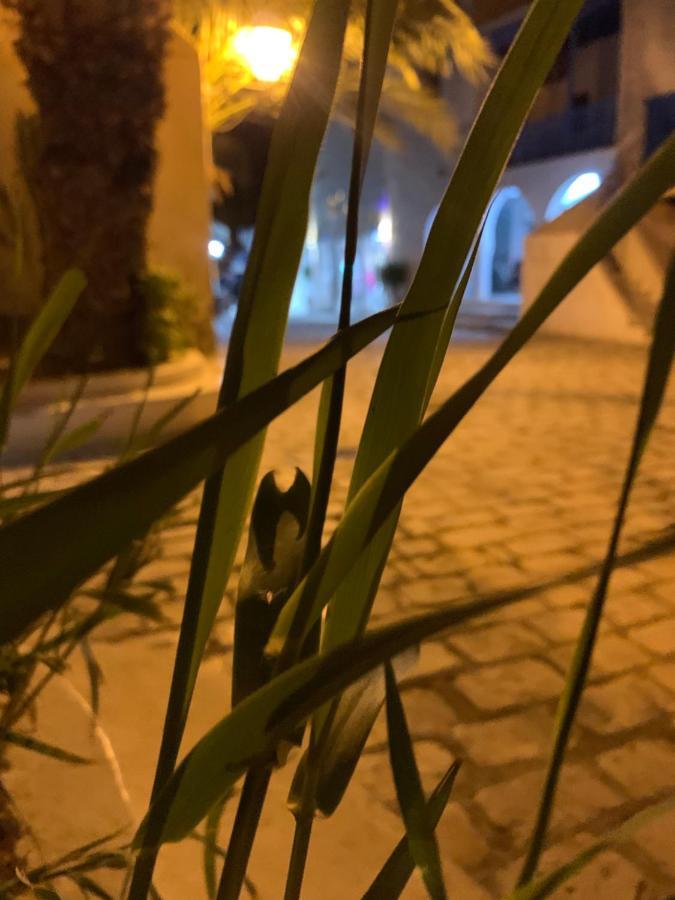 Dar Lola Djerba Bed & Breakfast Houmt Souk  Ngoại thất bức ảnh